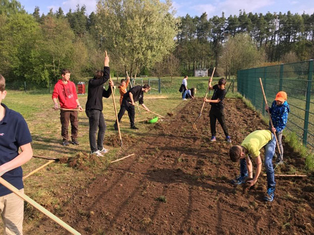 Anlegen einer Bienenweide Grund und Mittelschule Schnaittenbach